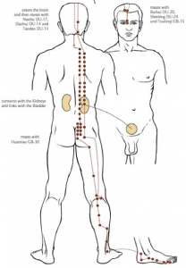 Bladder Meridian meridianlouisville.blogspot.com